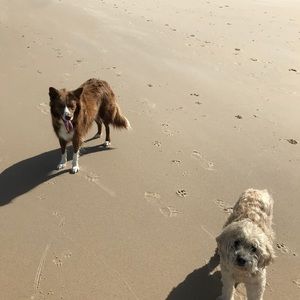 Meet your Posher, Jackie